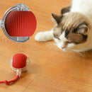 Pet Toy Ball - Brinquedo Interativo e Silencioso para Gatos - Loja-TopSpoT