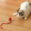 Pet Toy Ball - Brinquedo Interativo e Silencioso para Gatos - Loja-TopSpoT