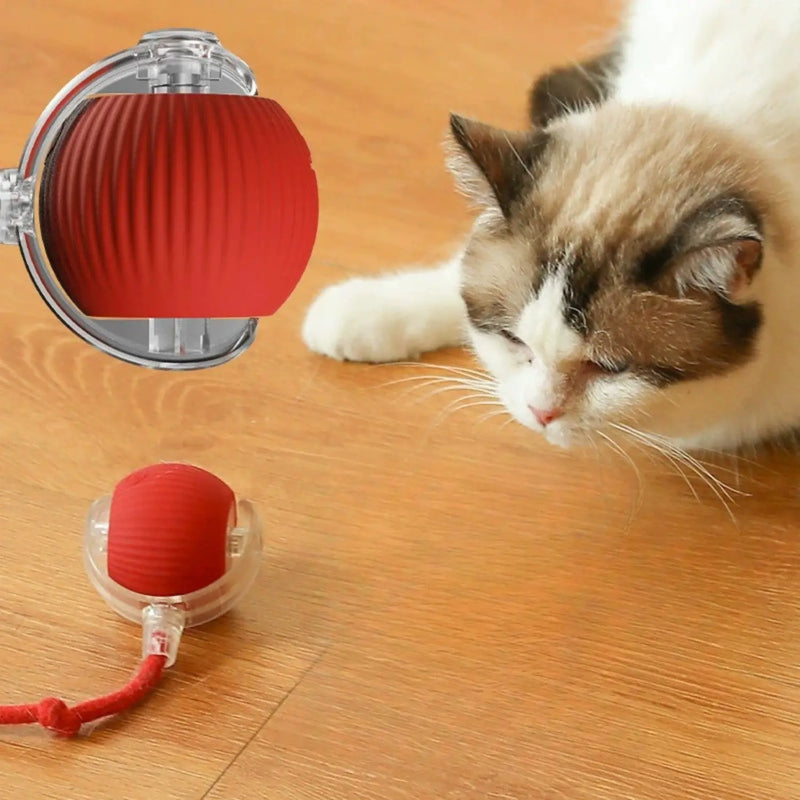 Pet Toy Ball - Brinquedo Interativo e Silencioso para Gatos - Loja-TopSpoT