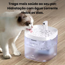 Bebedouro Fonte para Gatos com Dupla Filtração - 1.5L ROJECO