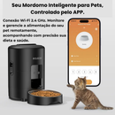 Alimentador PET Automático Smart Wi-Fi App 2L Tigela Inox ROJECO