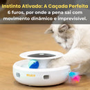 Brinquedo Interativo 2 em 1 - Gatos: Caça Penas e Bola ROJECO