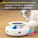 Brinquedo Interativo 2 em 1 - Gatos: Caça Penas e Bola ROJECO