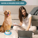 Comedouro de Lamber para Ração Pastosa e Sachê Pet